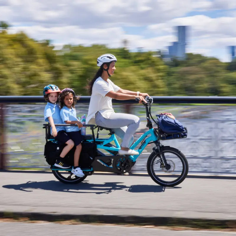 Flexible Weekly eBike Subscription - Tern GSD