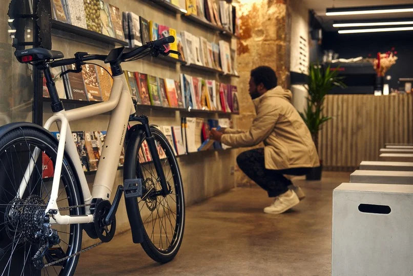Riese & Müller Culture eBike Subscription