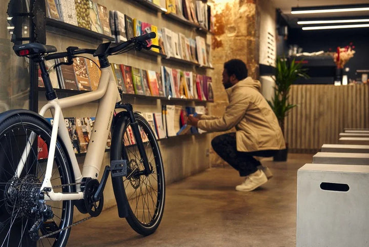 Riese & Müller Culture eBike Subscription