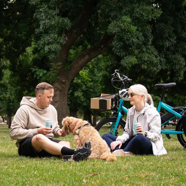 Flexible Weekly eBike Subscription - Tern Quick Haul