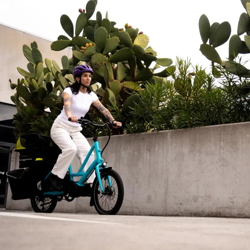 Flexible Weekly eBike Subscription - Tern Quick Haul