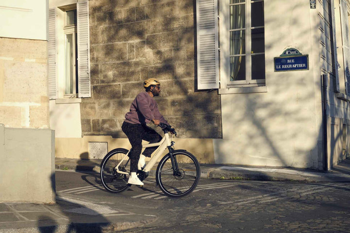 Riese & Müller Culture eBike Subscription