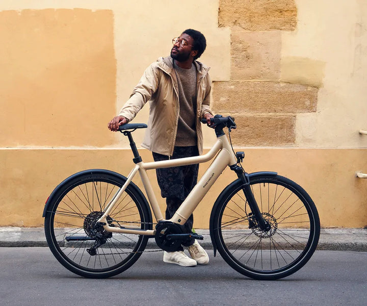 Riese & Müller Culture eBike Subscription