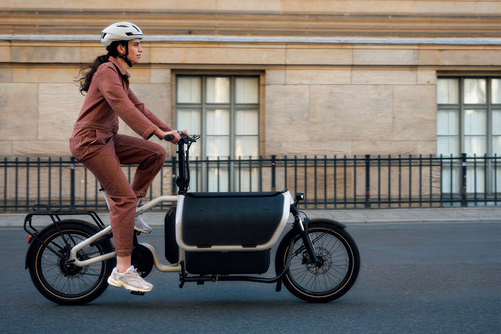 Weekly eBike Subscription - Riese & Müller Carrie City