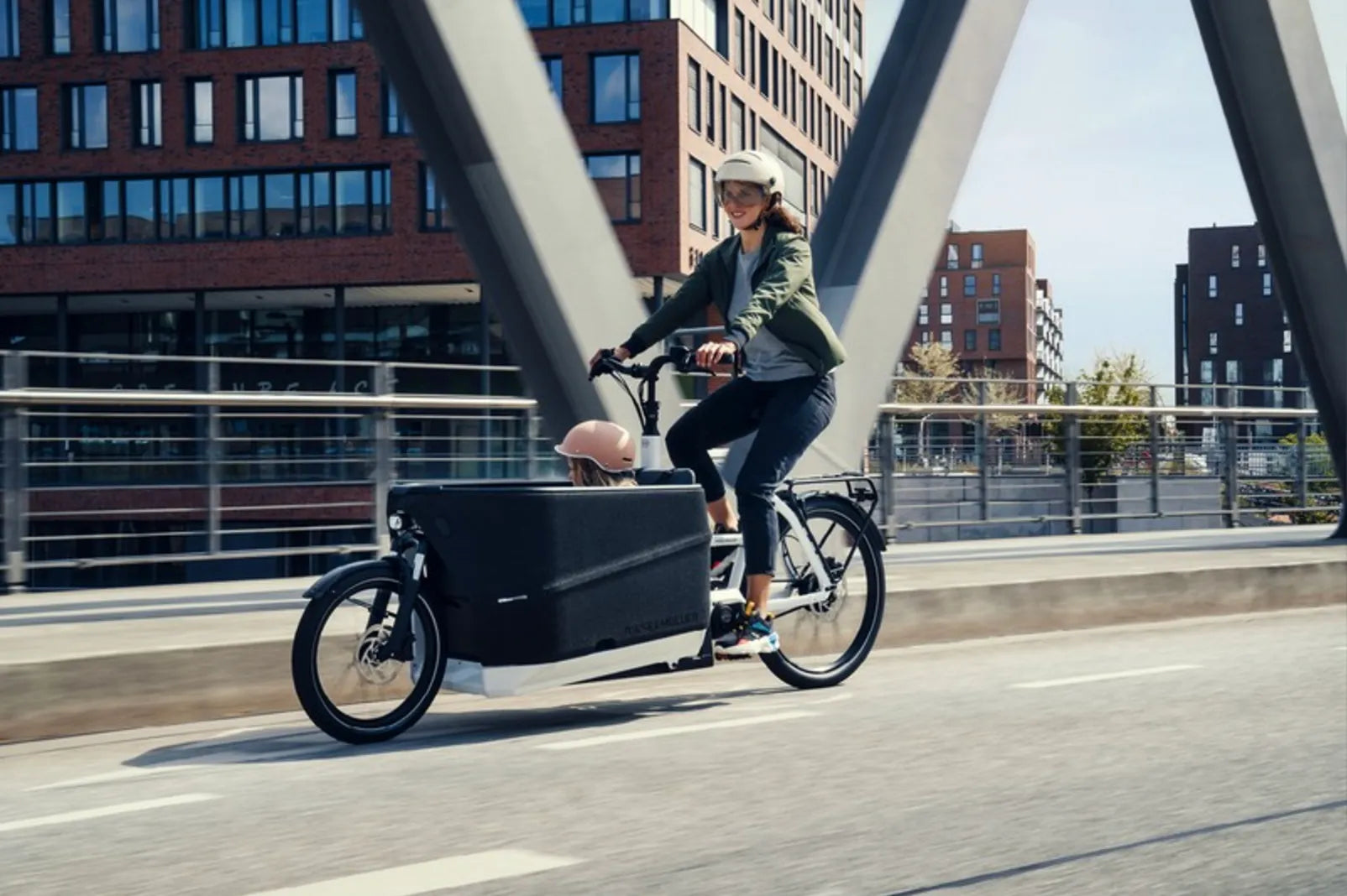 Riese & Müller Packster2 70