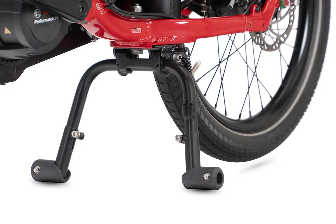 Tern DuoStand S